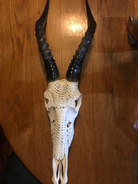 Blesbuck Skull Carving with polished Outer Horns