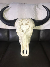 Load image into Gallery viewer, Buffalo Cow skull and Horns Big5
