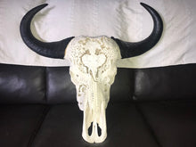 Load image into Gallery viewer, Buffalo Cow skull and Horns Big5
