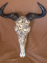Load image into Gallery viewer, Bluewildebeest Skull &amp; Horns

