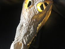 Load image into Gallery viewer, Junior Crocodile Skull
