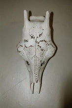 Load image into Gallery viewer, Giraffe Cow Skull Big 5 carved in Eggshell Finish
