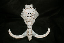 Load image into Gallery viewer, Warthog Family carved Skull and Teeth - Asphalt Stained
