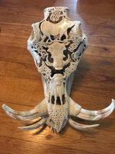 Load image into Gallery viewer, Warthog Buffalo Baboon and Leopard carved Skull
