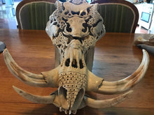 Load image into Gallery viewer, Warthog Buffalo Baboon and Leopard carved Skull
